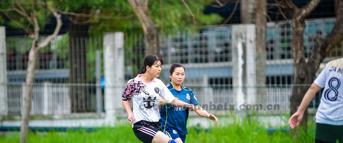 抽象问号与数据网格组成的帮助中心横幅